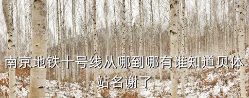 十號線，南京地鐵十號線從哪到哪有誰知道貝體站名謝了