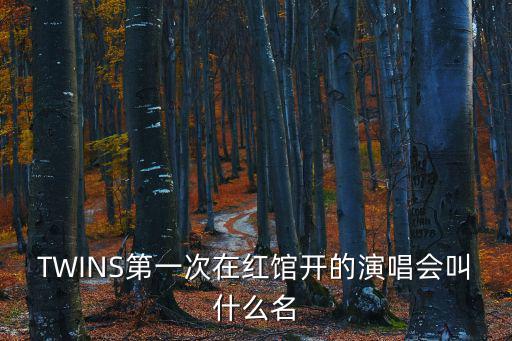 twins演唱會，twins出道至今開過幾場演唱會