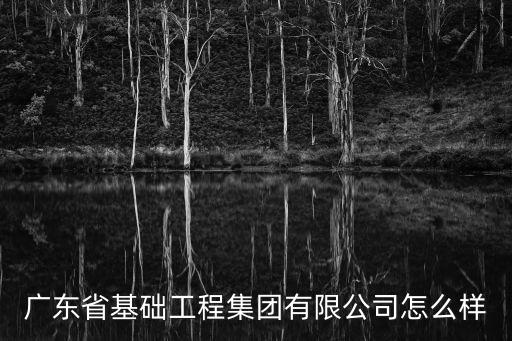 廣東省基礎工程集團有限公司怎么樣