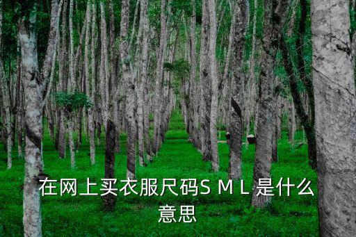 在網上買衣服尺碼S M L 是什么意思