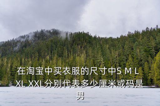 在淘寶中買衣服的尺寸中S M L XL XXL分別代表多少厘米或碼是男