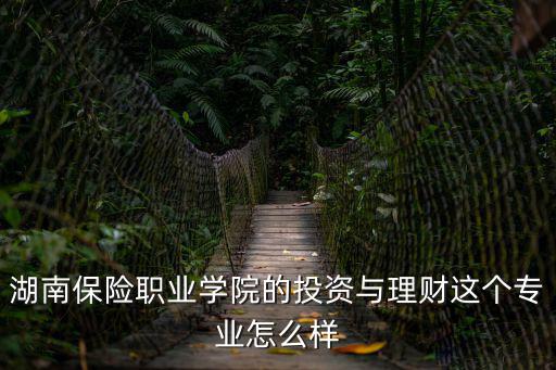 湖南保險職業技術學院，湖南保險大學錄取分數線學校概況謝謝