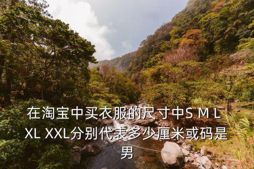 網上買衣服尺碼表，在網上買衣服尺碼怎么選有LXLMXXL他們各代表多少呢
