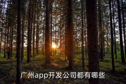 廣州軟件公司，廣州app開發公司都有哪些