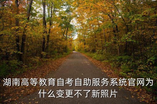 湖南高等教育自考自助服務(wù)系統(tǒng)官網(wǎng)為什么變更不了新照片