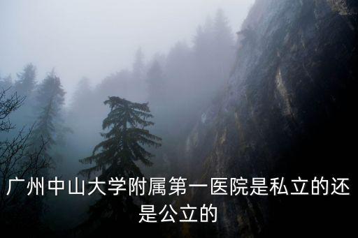 廣州中山大學附屬第一醫院，廣州中山大學附屬第一醫院是私立的還是公立的