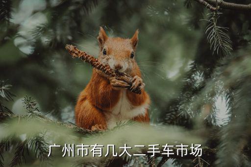 廣州市有幾大二手車市場(chǎng)