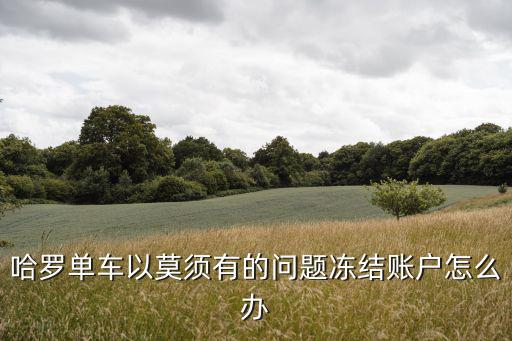 哈羅單車以莫須有的問題凍結(jié)賬戶怎么辦
