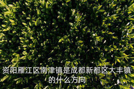 資陽雁江區南津鎮是成都新都區大豐鎮的什么方向