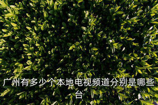 廣州綜合頻道，廣州有多少個本地電視頻道分別是哪些臺
