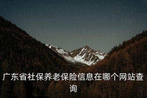 廣東省社保養(yǎng)老保險信息在哪個網(wǎng)站查詢