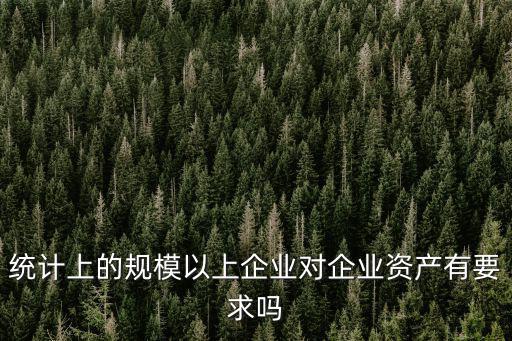 規(guī)模以上企業(yè)標(biāo)準(zhǔn)，統(tǒng)計(jì)上的規(guī)模以上企業(yè)對(duì)企業(yè)資產(chǎn)有要求嗎