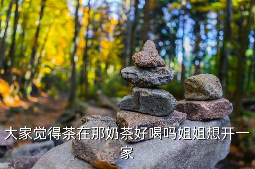 大家覺得茶在那奶茶好喝嗎姐姐想開一家
