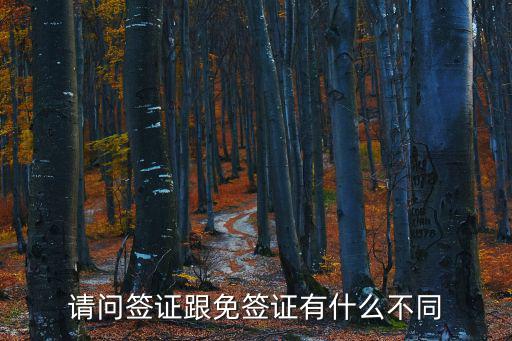 請問簽證跟免簽證有什么不同