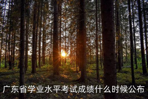 廣東省學業水平考試成績什么時候公布