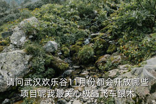 請問武漢歡樂谷11月份都會開放哪些項目呢我最關(guān)心極品飛車跟木