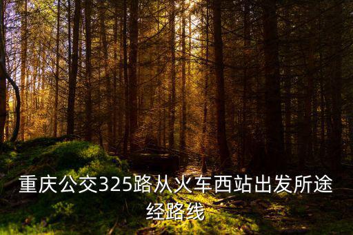 重慶公交325路從火車西站出發所途經路線