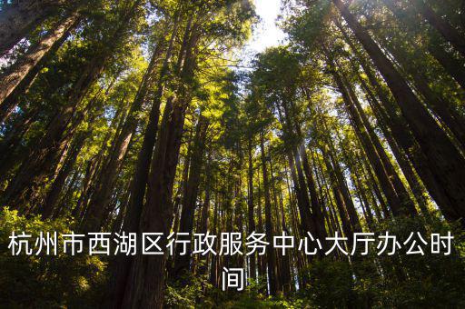 杭州市西湖區行政服務中心大廳辦公時間