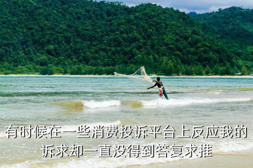 有時候在一些消費投訴平臺上反應(yīng)我的訴求卻一直沒得到答復求推