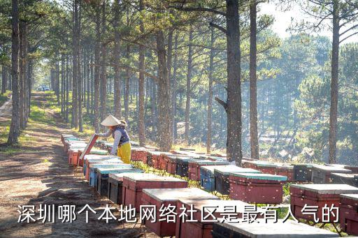 深圳哪個本地網(wǎng)絡社區(qū)是最有人氣的