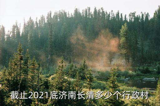 濟南市長清區，濟南長清區是在市里還是郊區