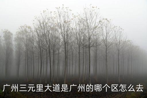 廣州三元里大道是廣州的哪個區(qū)怎么去