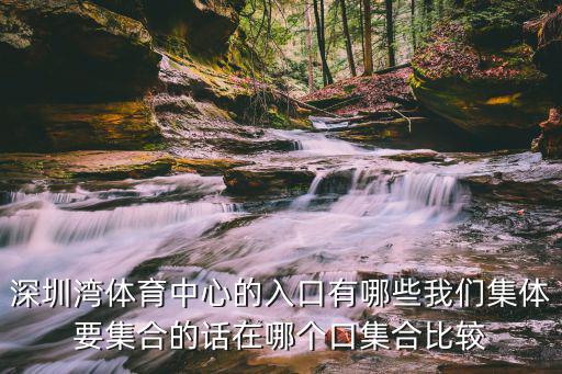 深圳灣體育中心，深圳灣體育中心的入口有哪些我們集體要集合的話在哪個口集合比較