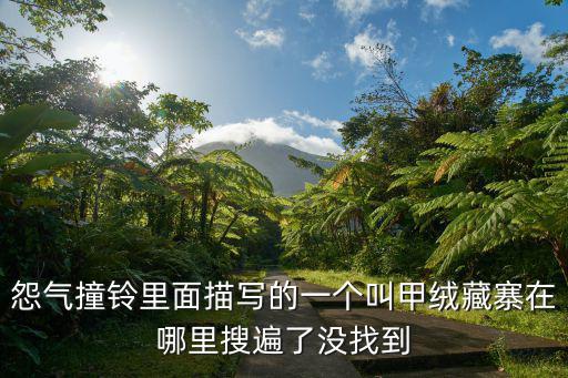 怨氣撞鈴里面描寫的一個(gè)叫甲絨藏寨在哪里搜遍了沒找到