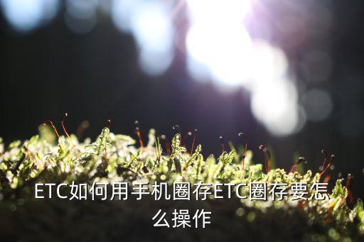 ETC如何用手機圈存ETC圈存要怎么操作