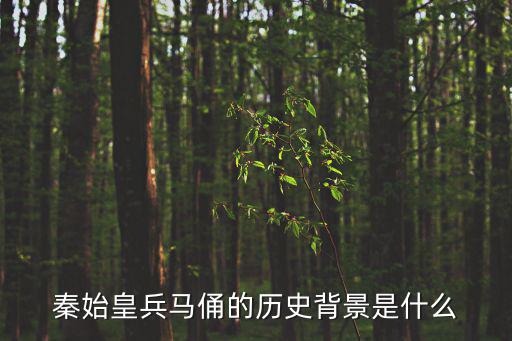 秦始皇兵馬俑的歷史背景是什么