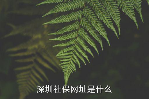 深圳社保網(wǎng)址是什么