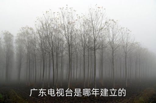 廣東電視臺是哪年建立的