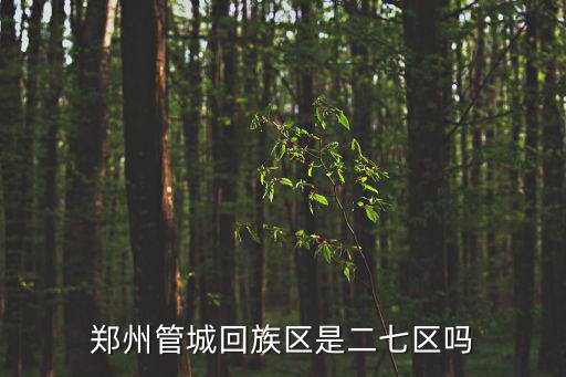鄭州管城回族區(qū)是二七區(qū)嗎