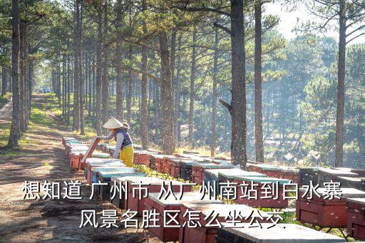 想知道 廣州市 從廣州南站到白水寨風景名勝區怎么坐公交