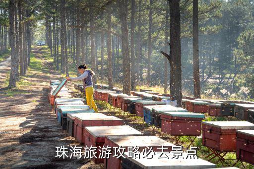 珠海旅游攻略必去景點(diǎn)