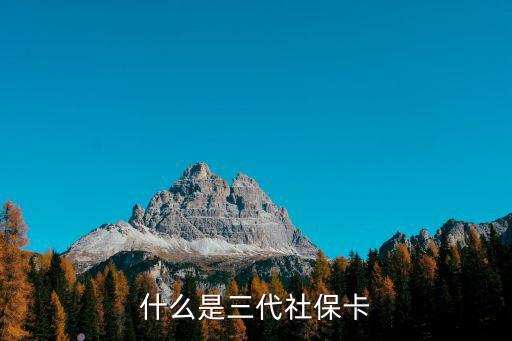 什么是三代社?？? class=