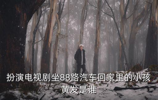 坐88路車回家演員表，扮演電視劇坐88路汽車回家里的小孩黃發(fā)是誰