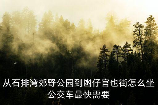 從石排灣郊野公園到凼仔官也街怎么坐公交車最快需要