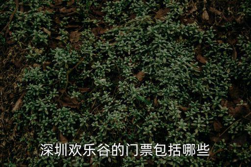 深圳歡樂谷的門票包括哪些