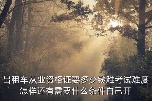 出租車從業(yè)資格證要多少錢難考試難度怎樣還有需要什么條件自己開