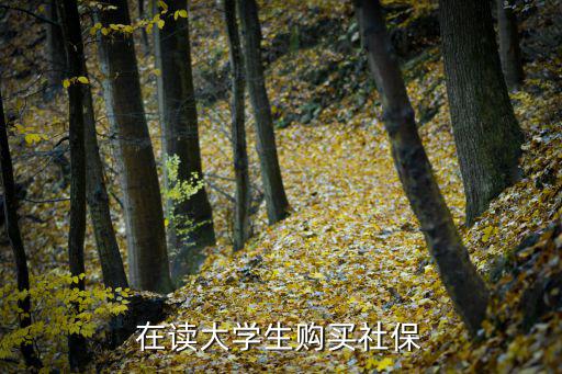 在讀大學生購買社保