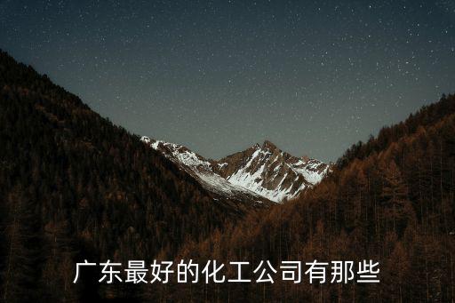 廣東最好的化工公司有那些