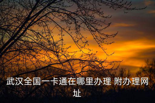 武漢通官網，交通銀行武漢通