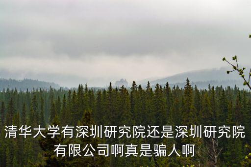 清華大學有深圳研究院還是深圳研究院有限公司啊真是騙人啊
