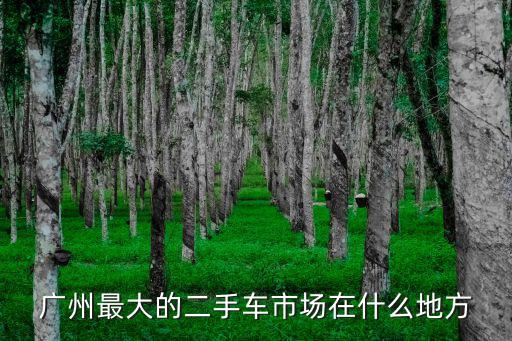 廣州二手汽車，廣州最大最專業的二手車交易市場在哪里