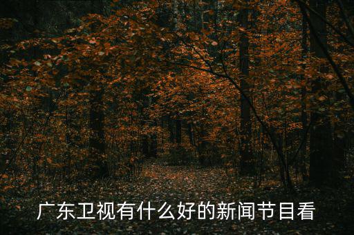 廣東衛視有什么好的新聞節目看