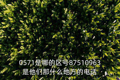 0571是哪的區(qū)號87510963是他們那什么地方的電話