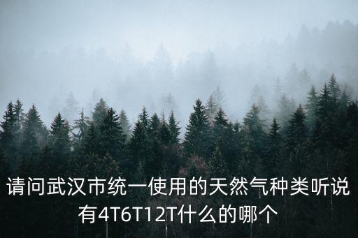 請問武漢市統(tǒng)一使用的天然氣種類聽說有4T6T12T什么的哪個