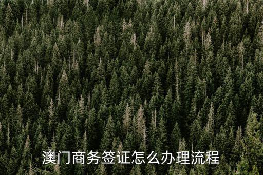 澳門商務簽證怎么辦理流程