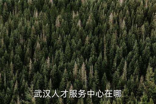 武漢人才服務中心在哪